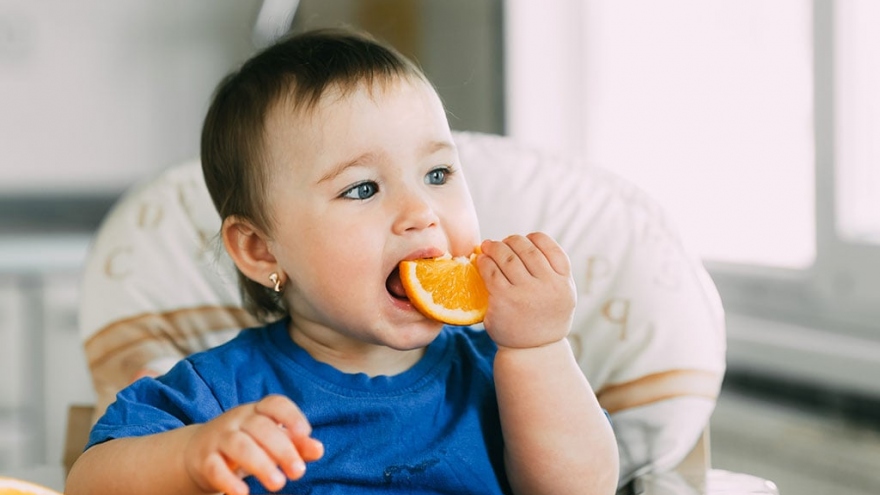 Trẻ 6 tháng tuổi nên ăn những loại quả nào?
